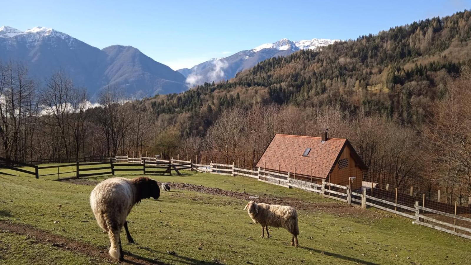 Chalet Navauce Raveo Bagian luar foto